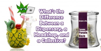 What’s the Difference Between a Dispensary, a Headshop, and a Collective?
