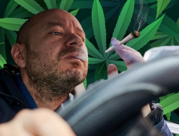 The Amount of THC in Your System Does Not Determine Impairment When Driving Says New Federal Government Report