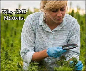 Why GMP Matters in Your Hemp Plants and CBD Oil - Cannabis.net Sits Down with Hemp Therapies of Colorado (Sponsored)