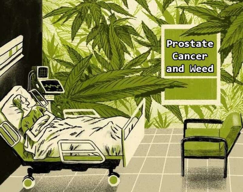 prostate cancer and medical marijuana