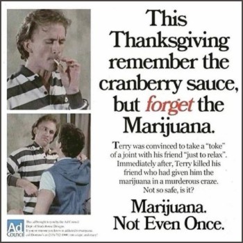 Remembering The Marijuana Massacre of '88 - Never Forget! (And Bring the Cranberry)