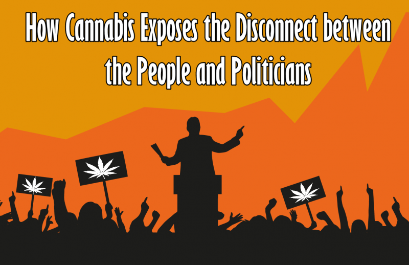 cannabis legalization and politicians