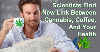 Scientists Find New Link Between Cannabis, Coffee, And Your Health