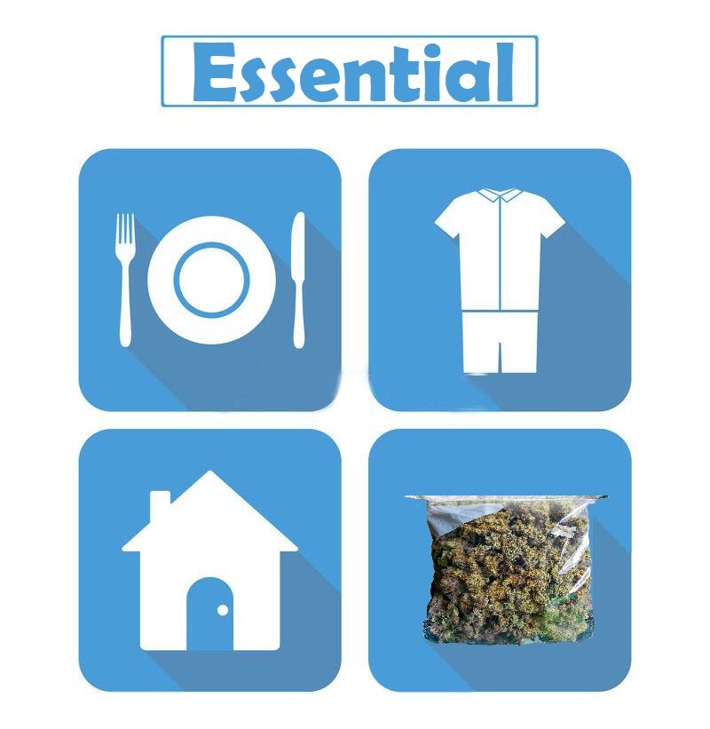 marijuana as an essential item