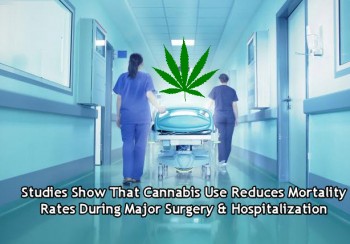 Studies Show That Cannabis Use Reduces Mortality Rates During Major Surgery & Hospitalization