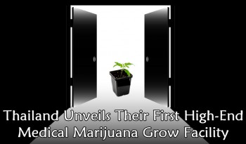Thailand Unveils Their First High-End Medical Marijuana Grow Facility