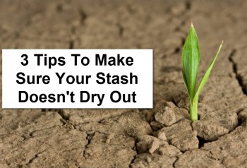 3 Tips To Make Sure Your Weed Stays Fresh And Not Dry
