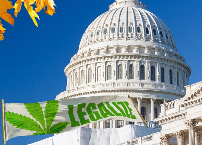 legalize cannabis not reschedule DEA comments