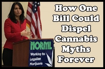 How One Bill Could Dispel Cannabis Myths Forever - The Marijuana Data Collection Act