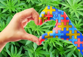 CBD-Rich Extracts Help Mitigate Autism Symptoms in Kids and Teens Says Medical Study