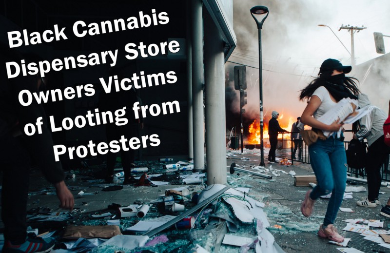 cannabis looting from protesters