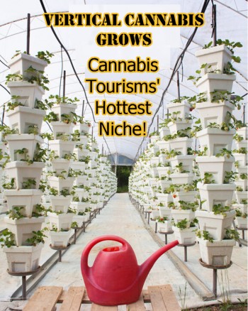 Vertical Cannabis Grows - Cannabis Tourisms' Hottest Niche