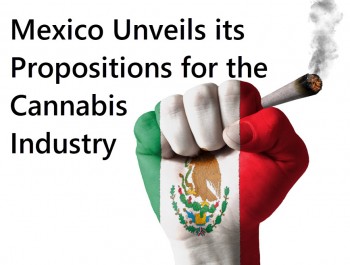 Mexico Unveils its Propositions for the Cannabis Industry