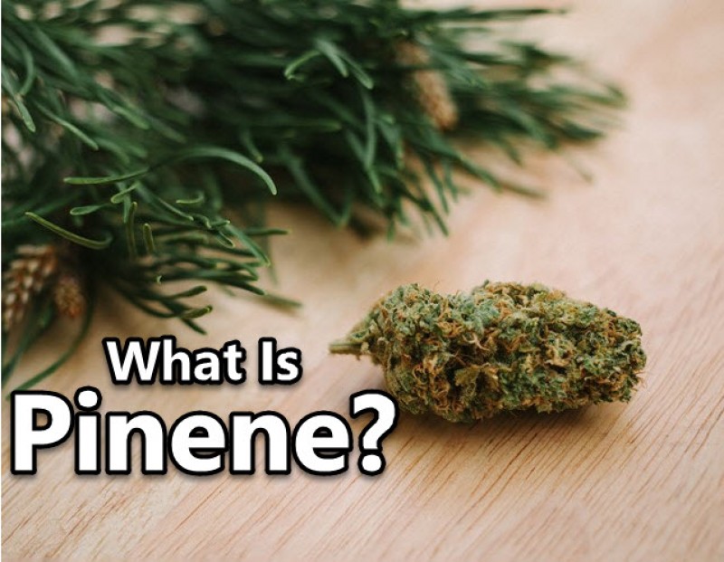 What is pinene