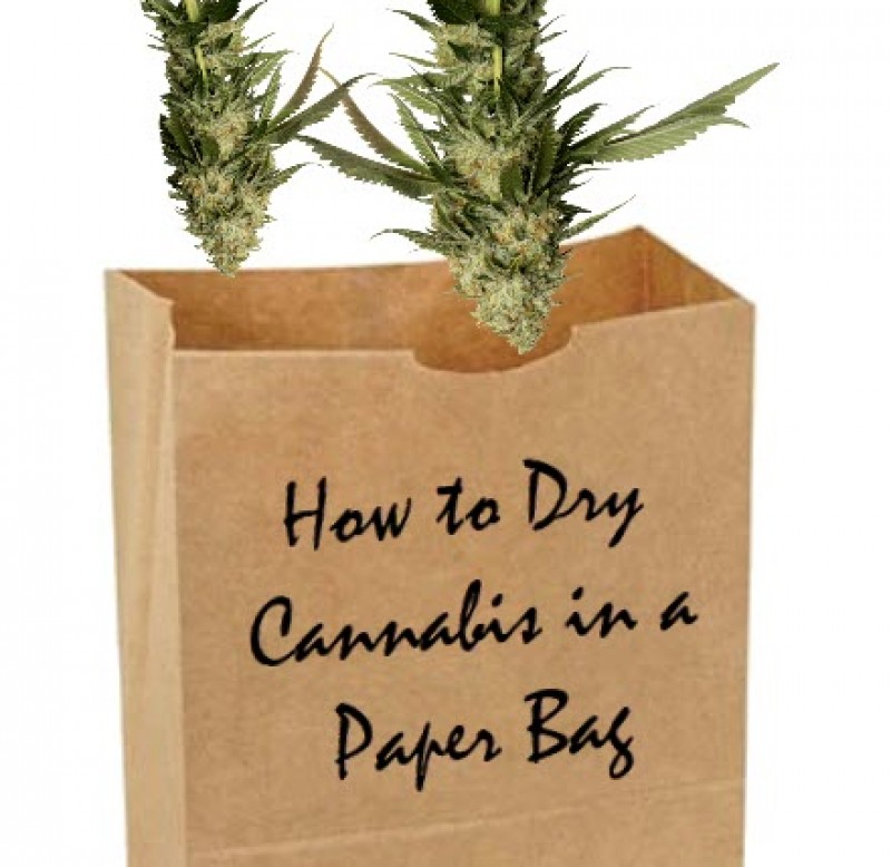 drying cannabis in a paper bag