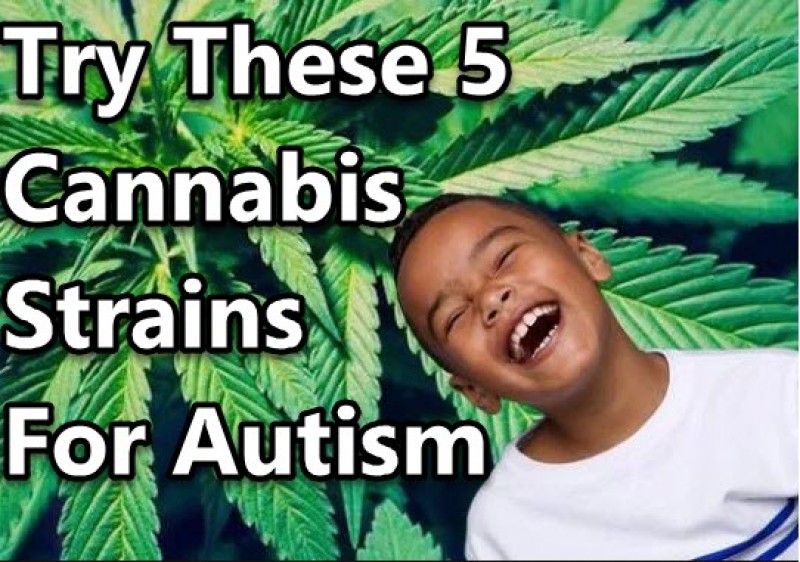 cannabis strains for autism