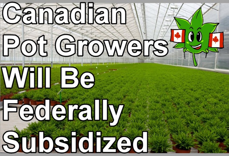 Canadian Pot Growers