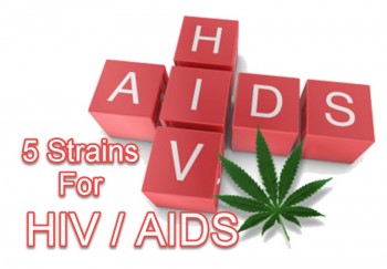 Cannabis Strains for HIV/AIDS