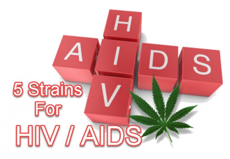 Cannabis for HIV/AIDS