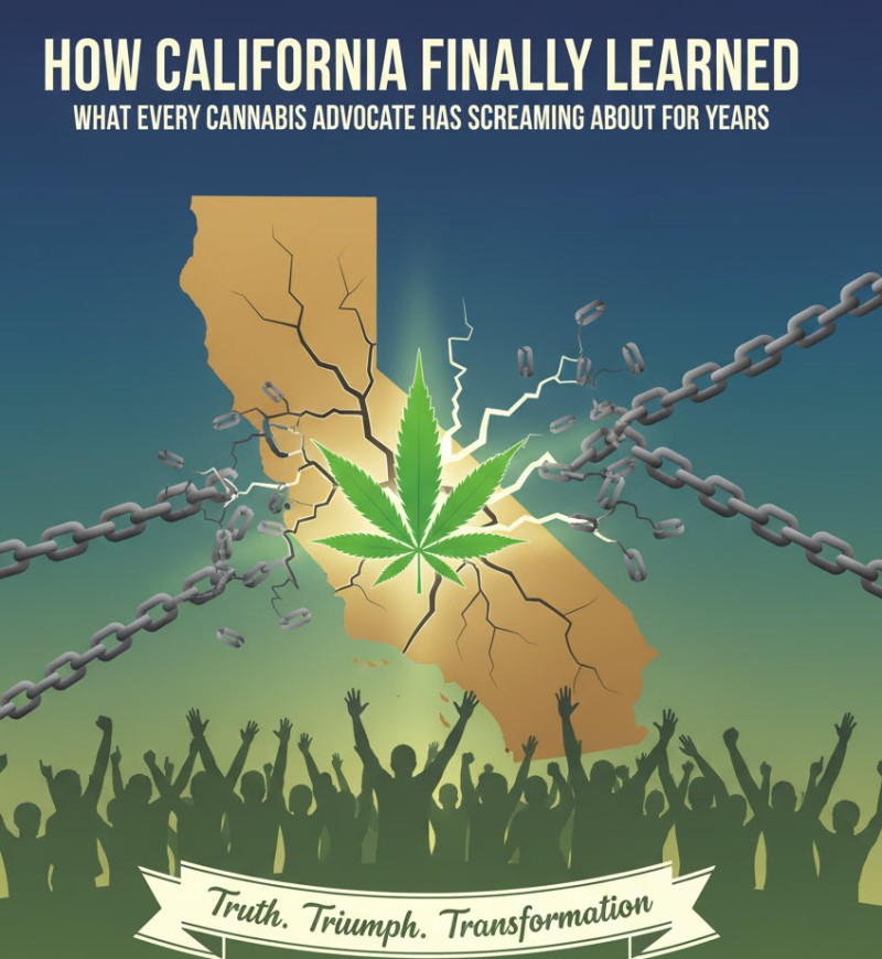 california weed industry lessons