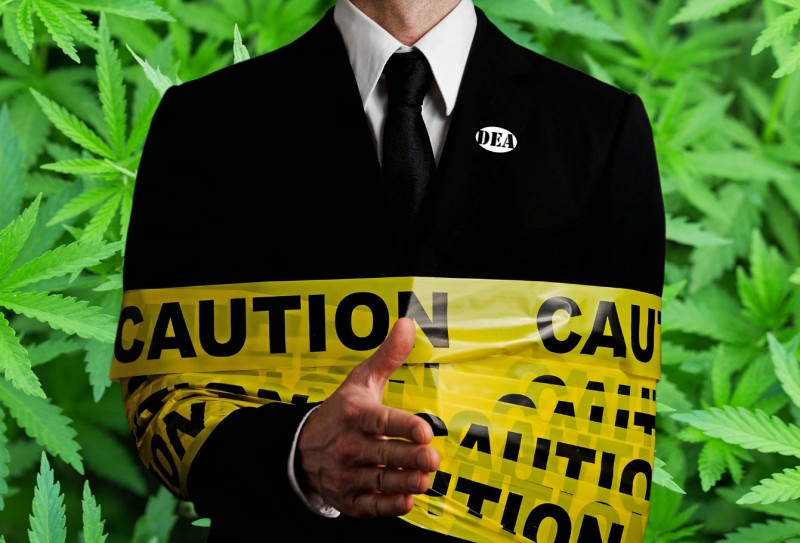Sue the DEA for cannabis legalization