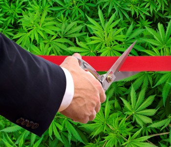 Europe's First Legal Cannabis Dispensary Is Set to Open - Game Changer or 'Meh'?