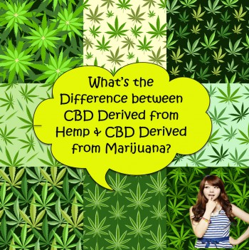 What’s the Difference between CBD Derived from Hemp & CBD Derived from Marijuana?