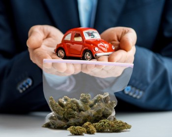 Want to Save $22 per Driver on Your Car Insurance Premiums? Legalize Cannabis in Your State Says New Study