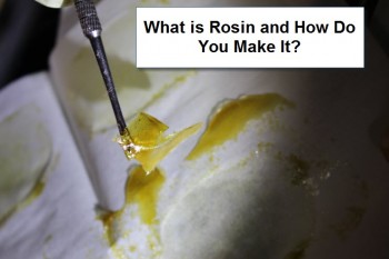What Is Cannabis Rosin and How Do You Make it?