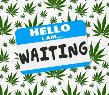 Cannabis Rescheduling No Longer a Done Deal? - DEA Judge Cancels Hearings on Marijuana Until At Least May 2025