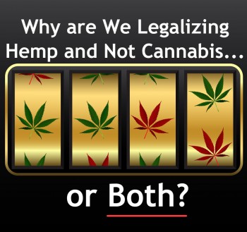 Why are We Legalizing Hemp and Not Cannabis, or Both?