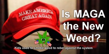 Is MAGA the New Weed?