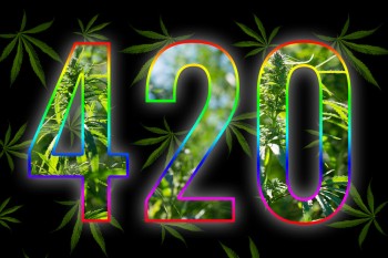 420 in 2023 - New Traditions and the True Meaning of Stoner