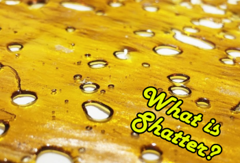 What is Shatter and How Do You Make It?