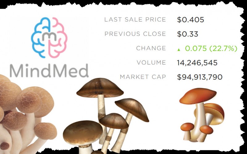 MindMed stock price public traded