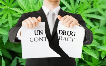 Congress Tells the DEA That UN Drug Treaties are a Joke, Don't Let Them Stop You from Rescheduling Marijuana