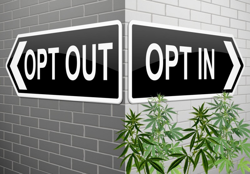 Why towns opt out of marijuana
