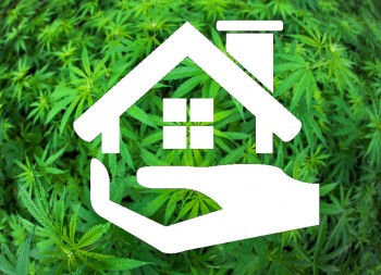 Hemp-Based Materials to Go Into Affordable Housing Projects
