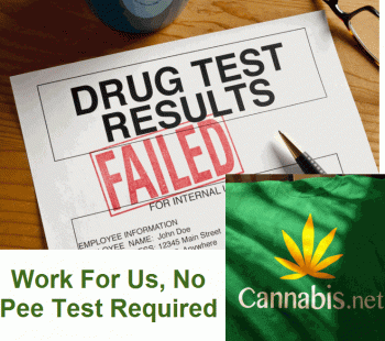Fail A Drug Test? Become A Cannabis Brand Ambassador