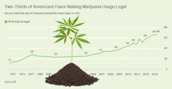 Who Wants Marijuana To Be Legalized?  Well, Just About Everyone Now