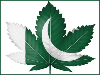 Will Pakistan Join the Hemp and Cannabis Green Rush By the End of 2022?