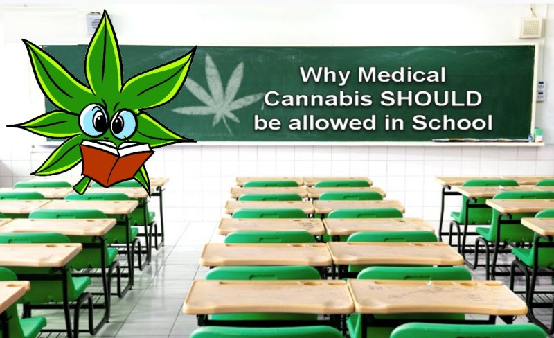 medical marijuana in school