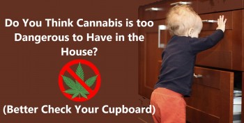 Is Cannabis too Dangerous to Have at Home? (Better Check Your Cupboard)