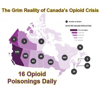 16 Opioid Poisonings Daily -The Grim Reality of Canada’s Opioid Crisis