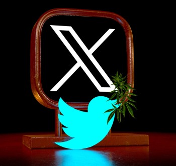 The 10 Best Twitter (X) Cannabis Handles to Follow for Marijuana News and Updates