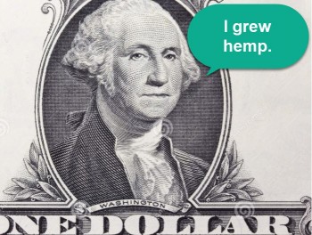 Was Hemp the Reason Marijuana was Illegalized?