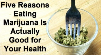 Five Reasons Eating Marijuana Is Actually Good for Your Health
