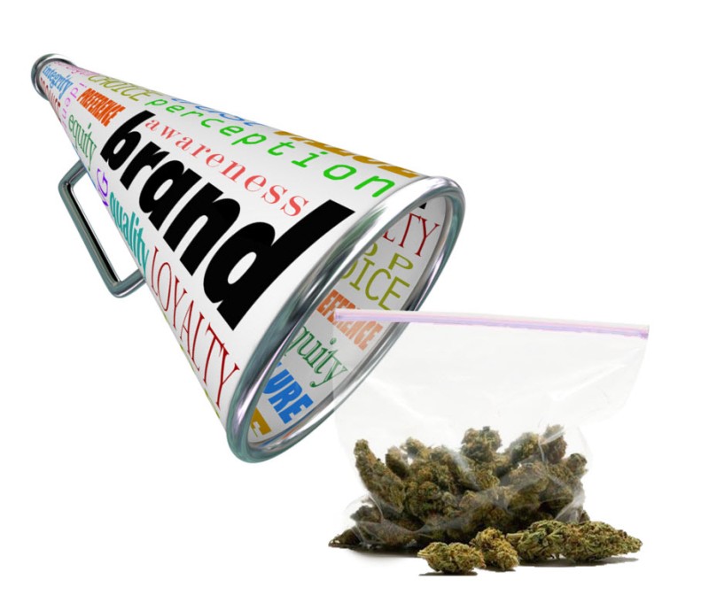marijuana branding data