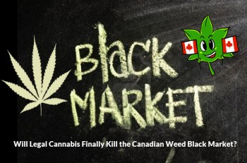 Will Legal Cannabis Finally Kill the Canadian Weed Black Market?