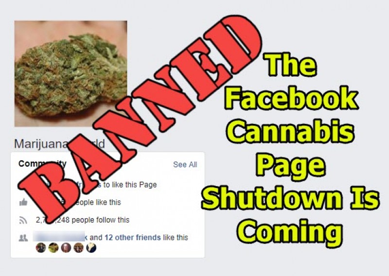 Facebook Marijuana Pages